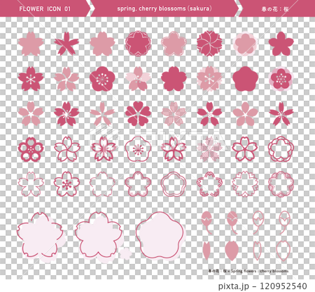 Cherry blossom icon. Spring flower. Silhouette of various shapes. Sakura. 120952540