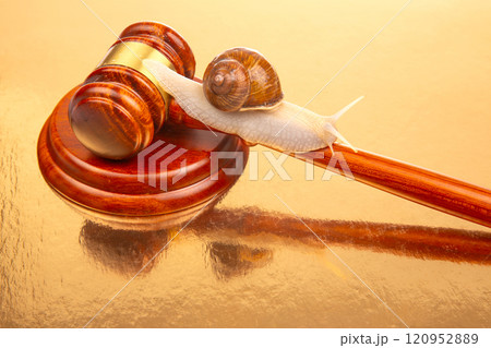 Snail and hammer of justice. The concept of slow adoption of laws and judicial decision Snail and hammer of justice. The concept of slow adoption of laws and judicial decision 120952889