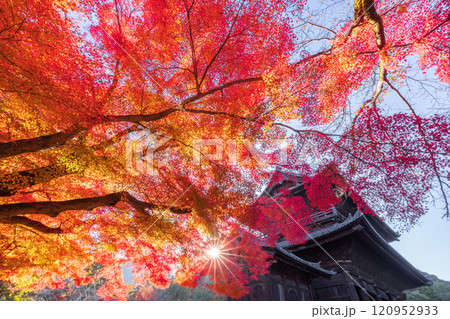 秋の南禅寺 120952933