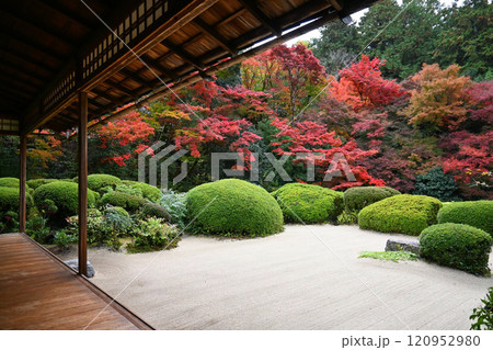 皐月と紅葉が美しい京都市詩仙堂の唐様庭園 120952980