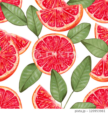 Seamless background of grapefruit slices with leaves. Watercolor and marker illustration. Red citrus fruit pieces. Hand drawn isolated art. Wallpaper eco product for fabric, textile, wrapper. 120953981