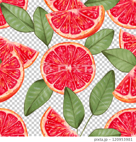 Seamless background of grapefruit slices with leaves. Watercolor and marker illustration. Red citrus fruit pieces. Hand drawn isolated art. Wallpaper eco product for fabric, textile, wrapper. 120953981