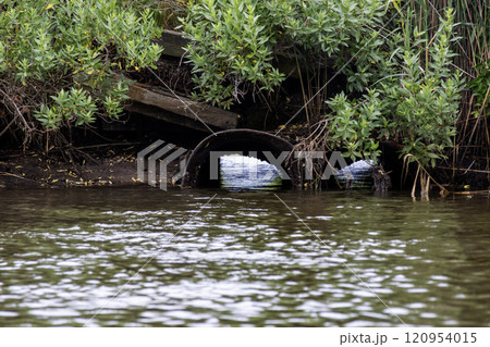 Water Flows Through a Pipe Under Overgrown Vegetation Near a Tranquil Body of Water Water Flows Through a Pipe Under Overgrown Vegetation Near a Tranquil Body of Water 120954015