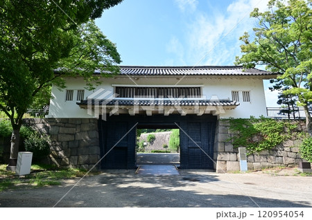 大阪城の青屋門(あおやもん) 大阪城の青屋門(あおやもん) 120954054