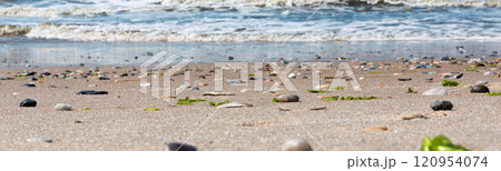 Beautiful Sandy Beach With Shells and Seaweed During Daytime by the Ocean Waves Beautiful Sandy Beach With Shells and Seaweed During Daytime by the Ocean Waves 120954074