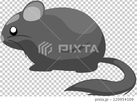 ブラックエボニー 120954109