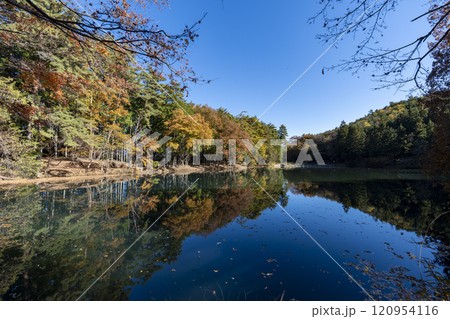紅葉の北伊奈ヶ湖 紅葉の北伊奈ヶ湖 120954116