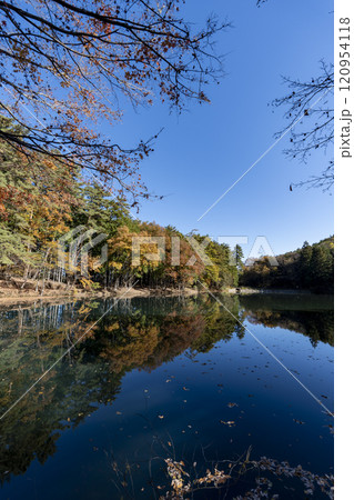 紅葉の北伊奈ヶ湖 紅葉の北伊奈ヶ湖 120954118