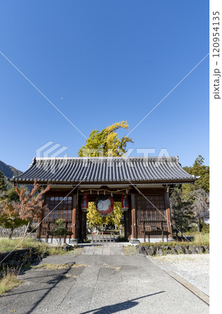 本国寺のオハツキイチョウ 120954135