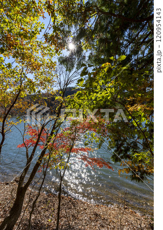 紅葉の四尾連湖 紅葉の四尾連湖 120954143