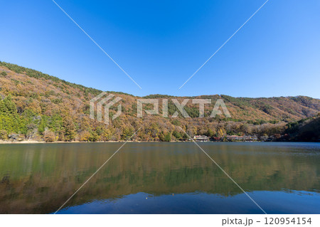 紅葉の四尾連湖 120954154