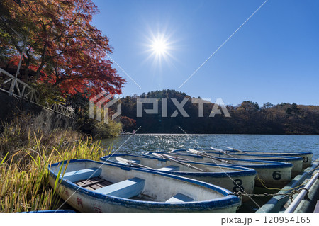 紅葉の四尾連湖 紅葉の四尾連湖 120954165