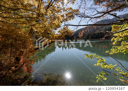 紅葉の南伊奈ヶ湖 紅葉の南伊奈ヶ湖 120954167