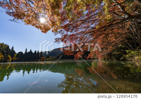 紅葉の南伊奈ヶ湖 紅葉の南伊奈ヶ湖 120954170