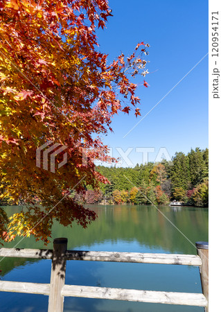紅葉の南伊奈ヶ湖 120954171