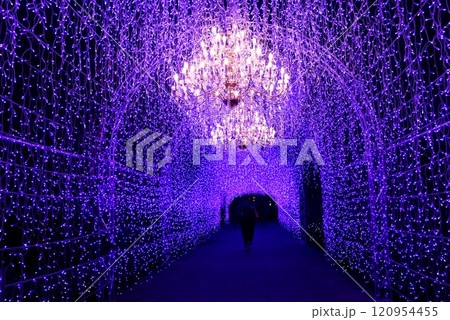 藤沢市　江の島シーキャンドルイルミネーション湘南の宝石 120954455