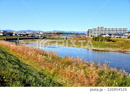 万願寺歩道橋(ふれあい橋)／浅川付近より上流、高幡橋方向を望む(東京都日野市)【2024.11】 120954529