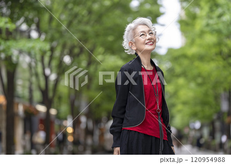 笑顔のグレイヘアのシニア女性 笑顔のグレイヘアのシニア女性 120954988
