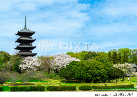 備中国分寺 春の風景 岡山県総社市 備中国分寺 春の風景 岡山県総社市 120955364