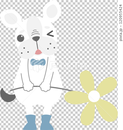 cute and lovely dog holding flower, happy valentines day, birthday, love concept, flat png illustration cartoon character costume design cute and lovely dog holding flower, happy valentines day, birthday, love concept, flat png illustration cartoon character costume design 120955424