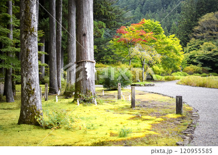 古峯神社の庭園 古峯神社の庭園 120955585