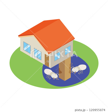 床下のシロアリ被害住宅 120955874