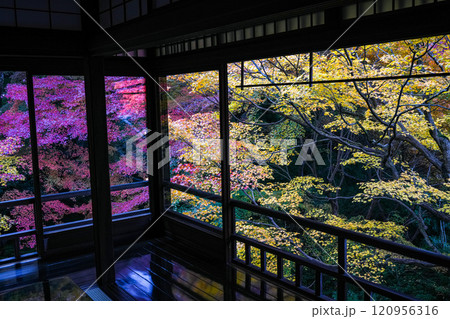 京都八瀬　瑠璃光院紅葉 120956316