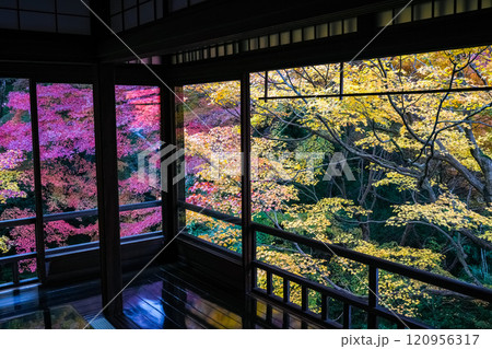 京都八瀬 瑠璃光院紅葉 京都八瀬 瑠璃光院紅葉 120956317