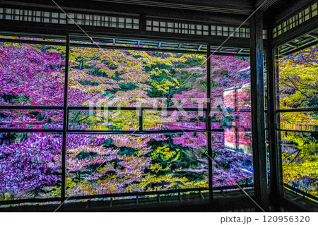 京都八瀬 瑠璃光院紅葉 京都八瀬 瑠璃光院紅葉 120956320