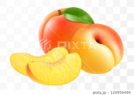 Ripe sweet apricot fruits whole and slices isolated on transparent background. Concept of healthy food, vegetarian dieting. Realistic 3d vector illustration. 120956494