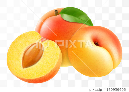 Apricot fruits whole and half with pit isolated on transparent background. Concept of healthy food, vegetarian dieting. Realistic 3d vector illustration. Apricot fruits whole and half with pit isolated on transparent background. Concept of healthy food, vegetarian dieting. Realistic 3d vector illustration. 120956496