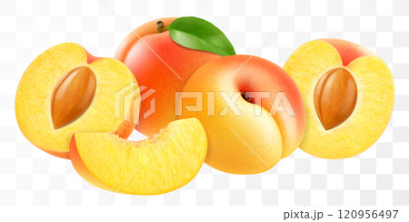 Ripe apricot fruits. Half with pit, whole and slice juicy fruit isolated on transparent background. Concept of healthy food, vegetarian dieting. Realistic 3d vector illustration. 120956497
