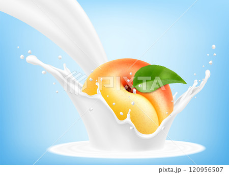 Fresh ripe apricot falls into a splash of yogurt or milk, cocktail splash with drops, Milkshake splash with sweet juicy fruit. Realistic 3d vector illustration 120956507