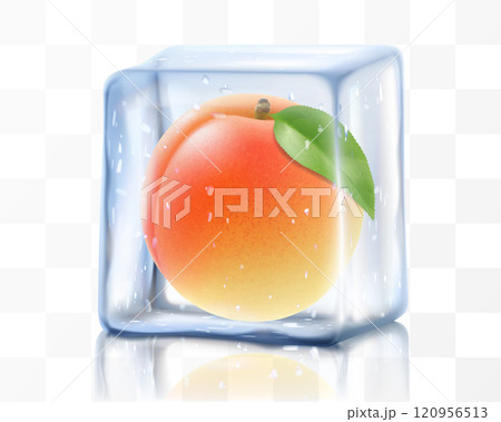 Fresh ripe apricot in ice cube isolated on transparent background. Frozen tasty juicy apricot, realistic 3d vector illustration. Bright tropical summer design 120956513