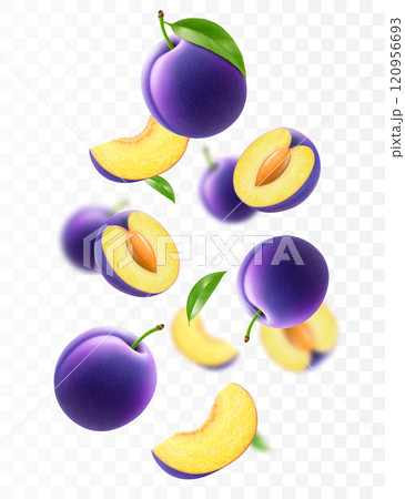Flying ripe purple plum . Bright advertising background falling juicy sweet plums, realistic illustration with blurred effect. 3d vector design for advertising banners and web page design Flying ripe purple plum . Bright advertising background falling juicy sweet plums, realistic illustration with blurred effect. 3d vector design for advertising banners and web page design 120956693