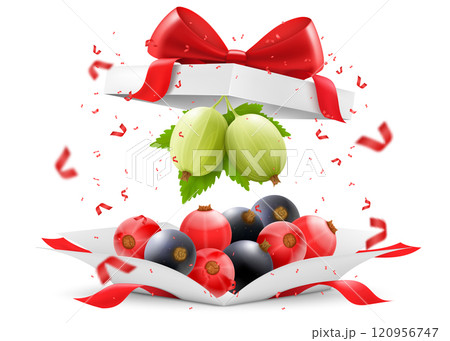 Fresh juicy berries in open gift box with a red bow isolated on transparent background. Ripe red currants, gooseberries and blackcurrants as a gift, Healthy food, Realistic 3d vector illustration 120956747