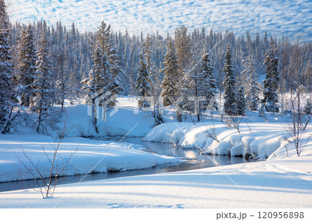 Winter Sunny Day over Snowy Forest River 120956898