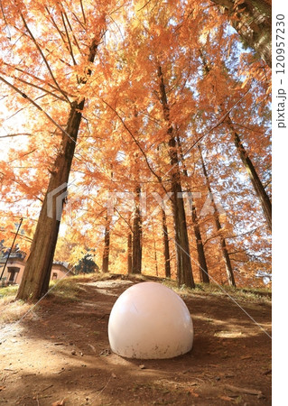 トーベ・ヤンソンあけぼの子どもの森公園 120957230