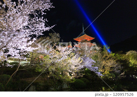改修後の清水寺 桜 ライトアップ 改修後の清水寺 桜 ライトアップ 120957526