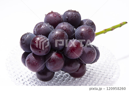 ピオーネ 120958260