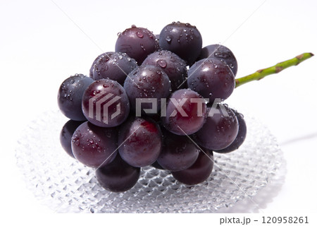 ピオーネ ピオーネ 120958261