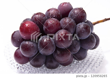 ピオーネ ピオーネ 120958265