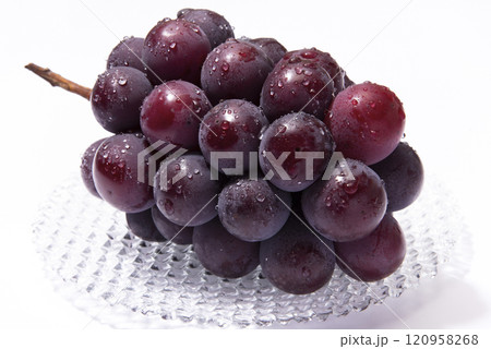 ピオーネ 120958268