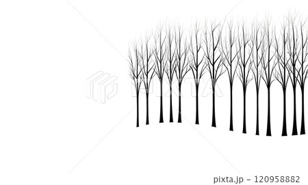 Row of bare trees standing on a white background 120958882
