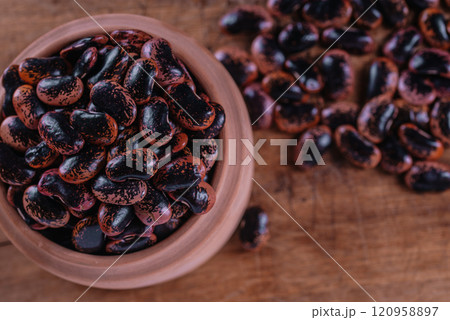Phaseolus coccineus, known as runner bean, scarlet runner bean, or multiflora bean, Fabaceae. 120958897