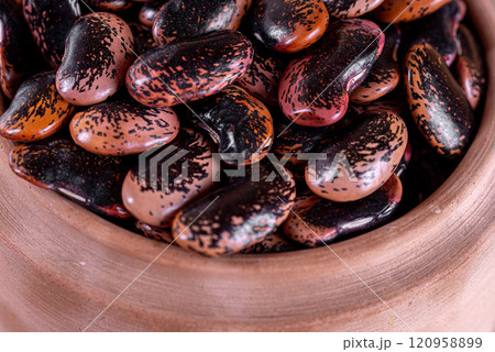 Phaseolus coccineus, known as runner bean, scarlet runner bean, or multiflora bean, Fabaceae. 120958899