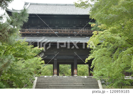 緑に覆われる南禅寺 三門【重文】 緑に覆われる南禅寺 三門【重文】 120959185