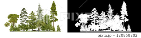 small forest and grass field on white background 120959202