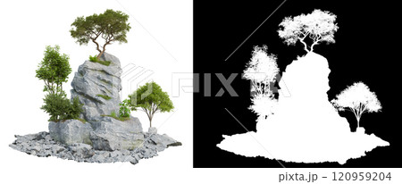 tree on mountain rock on white background tree on mountain rock on white background 120959204