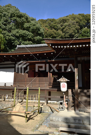 世界遺産宇治上神社　国宝拝殿と清の砂(京都府宇治市) 120959285